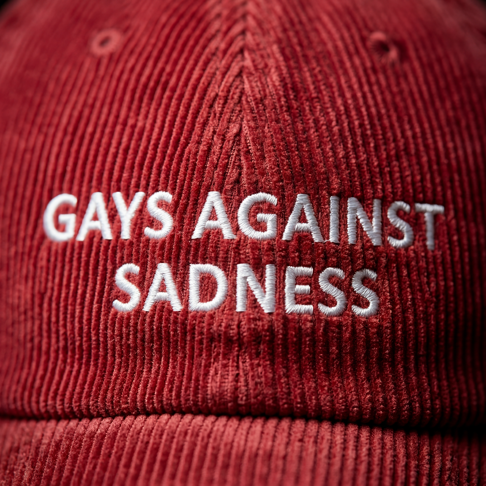 GAYS AGAINST SADNESS cap